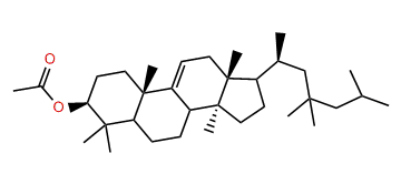 24,24-Dimethyl-9(11)-lanostenol acetate